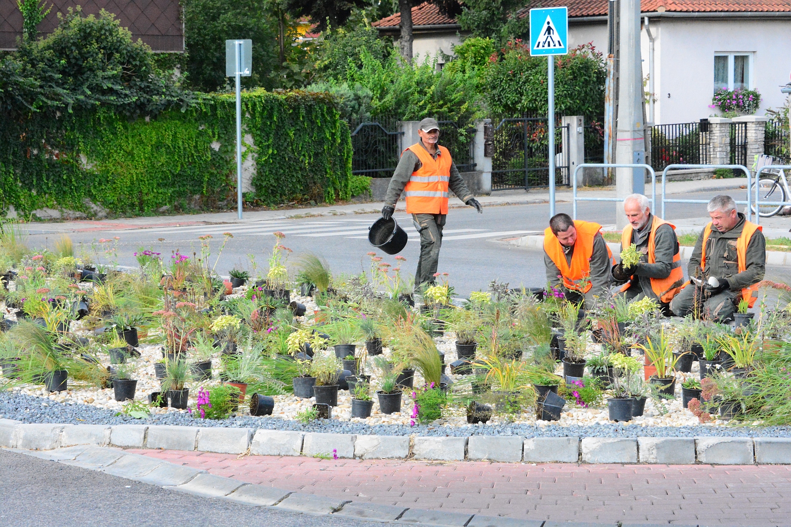 Kavicskert a körforgalmak közepén több száz tő évelő növénnyel